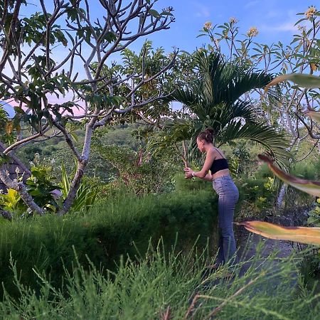 The Pancor Jungle Resort Ped المظهر الخارجي الصورة
