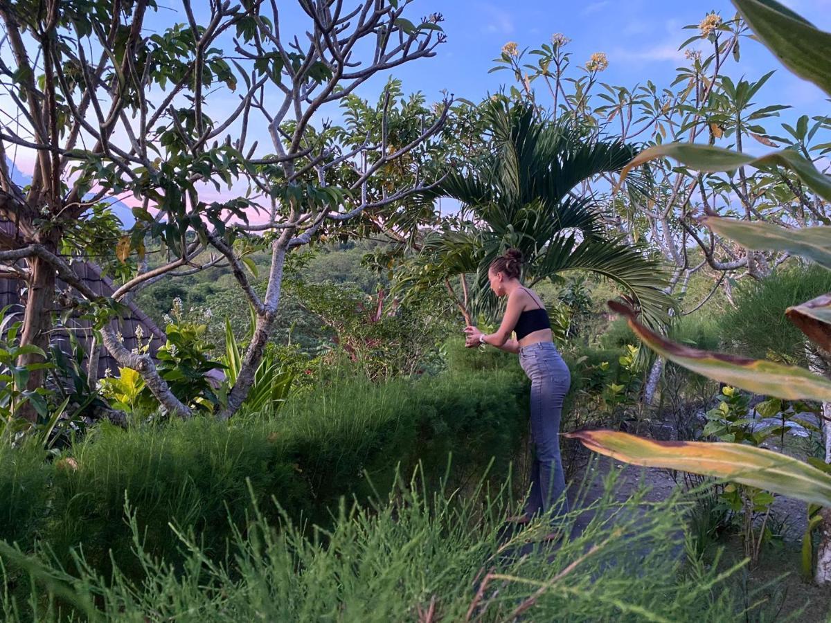 The Pancor Jungle Resort Ped المظهر الخارجي الصورة